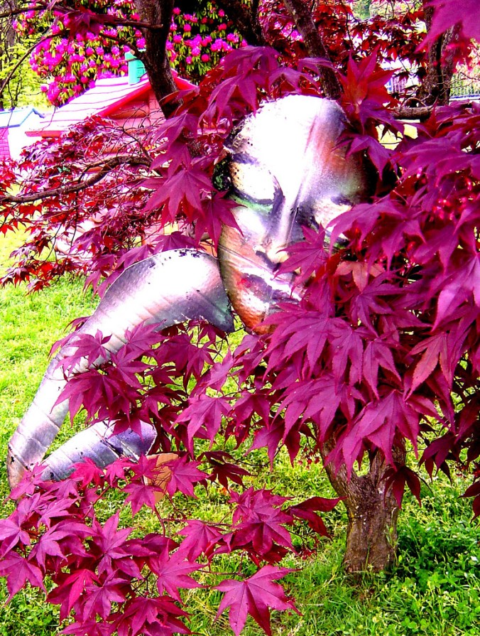 4768977039_e812e0bd21_b